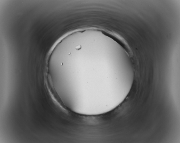 X0000086241524200704261906