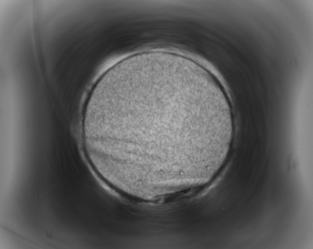 X0000086241525200704261906
