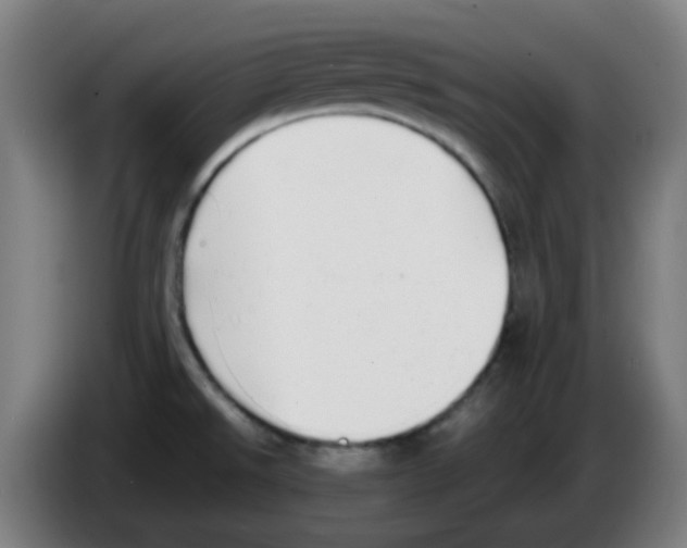 X0000086241526200704261906