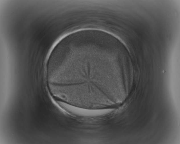 X0000086241527200704261906