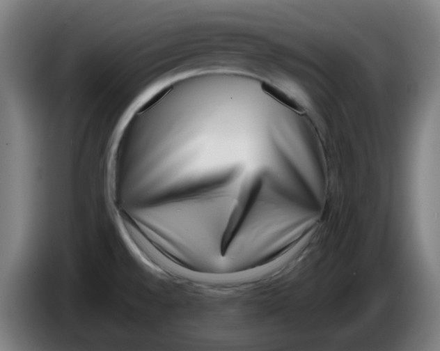 X0000086241528200704261906