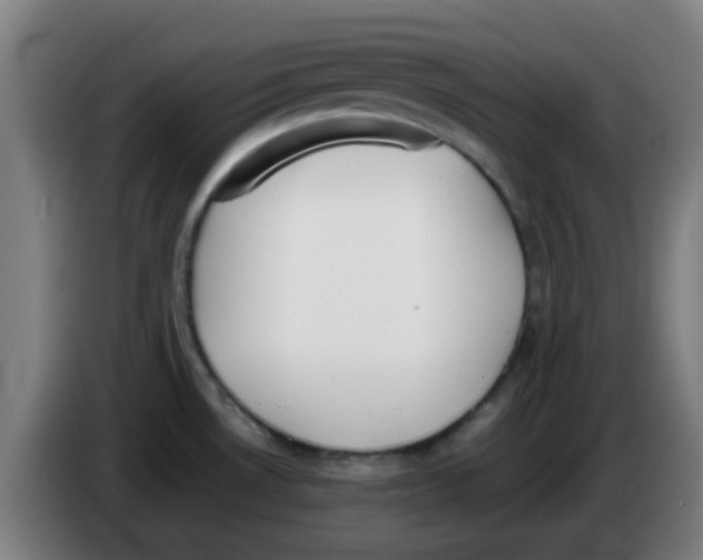 X0000086241530200704261906