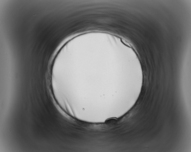 X0000086241531200704261906