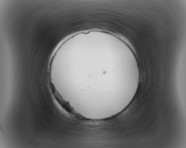 X0000086241532200704261906