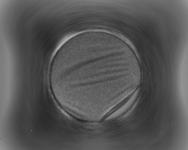 X0000086241533200704261906