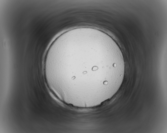 X0000086241535200704261906