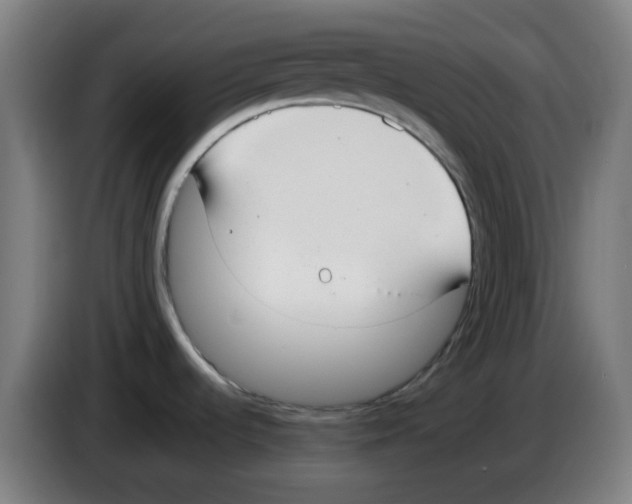 X0000086241536200704261906