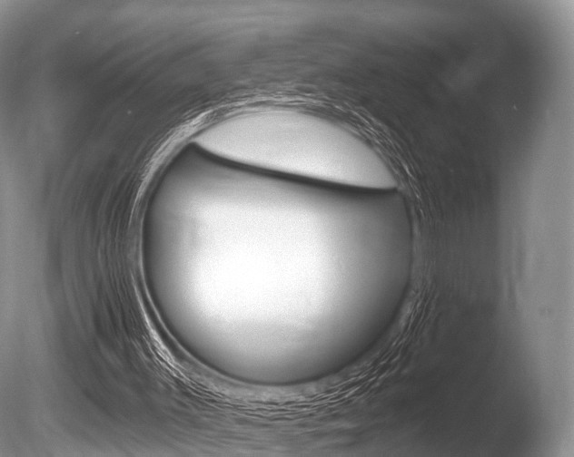 X0000086250003200703291048