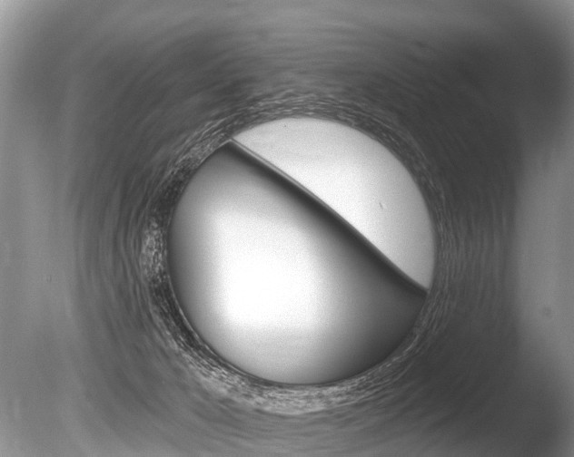 X0000086250029200703291047
