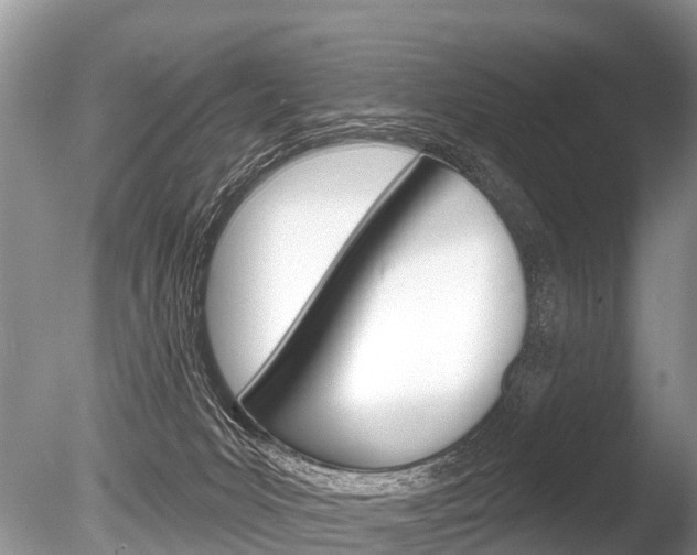 X0000086250031200703291047