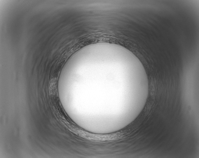 X0000086250034200703291047