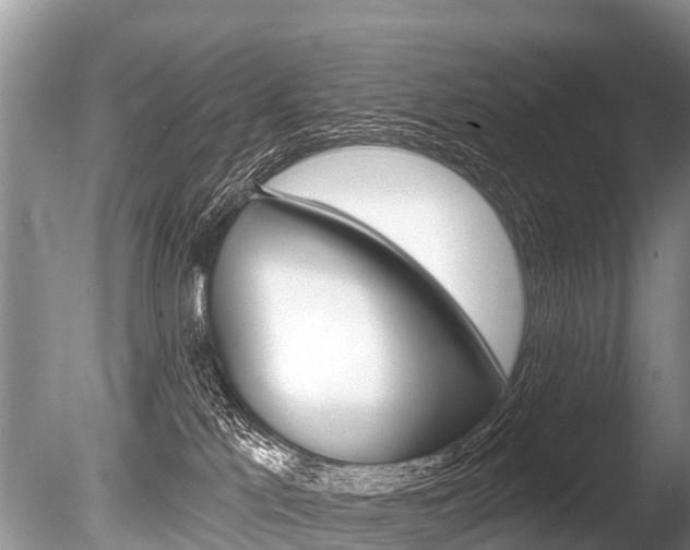 X0000086250041200703291047
