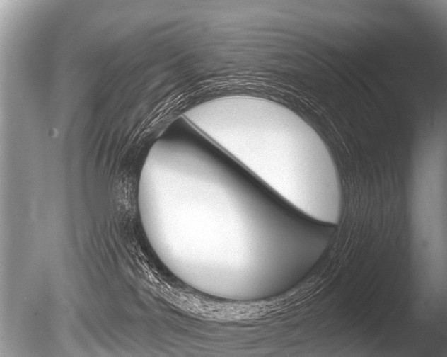 X0000086250044200703291047