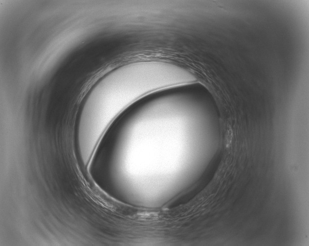 X0000086250052200703291046