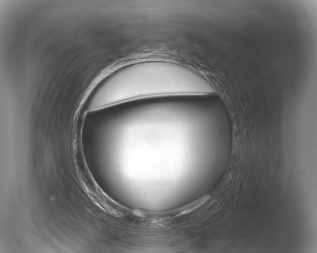 X0000086250056200703291046