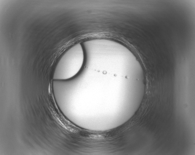 X0000086250061200703291046
