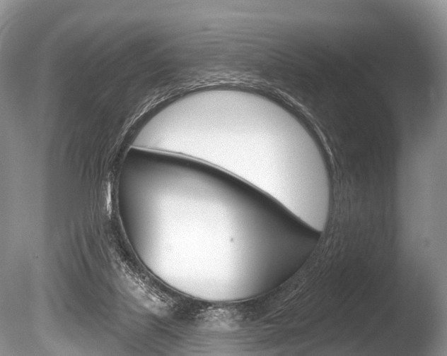 X0000086250067200703291047