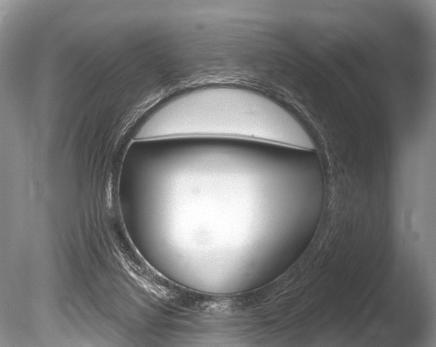 X0000086250068200703291047