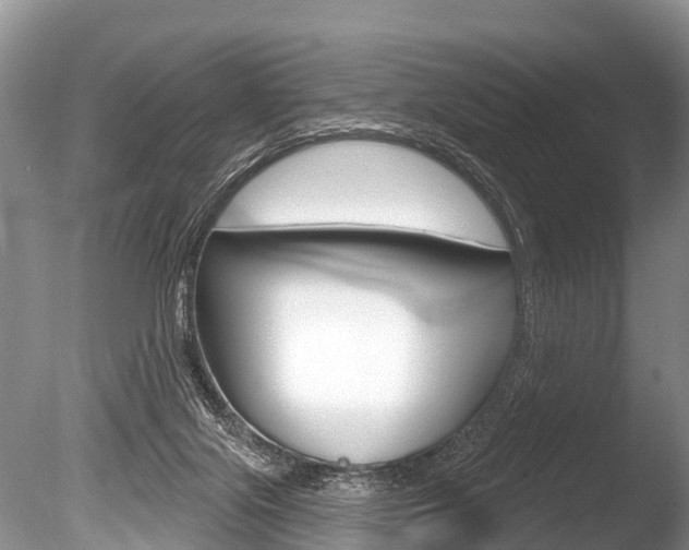 X0000086250071200703291047