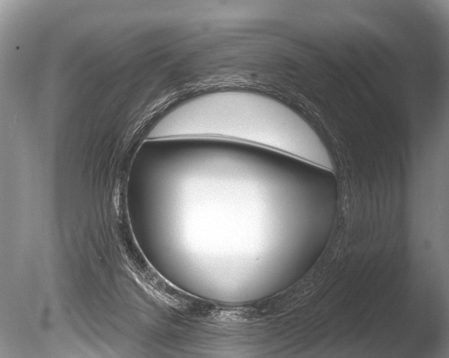 X0000086250072200703291047