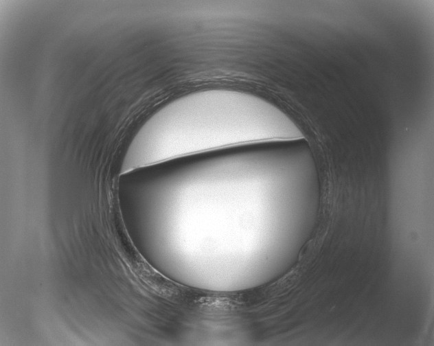 X0000086250074200703291047
