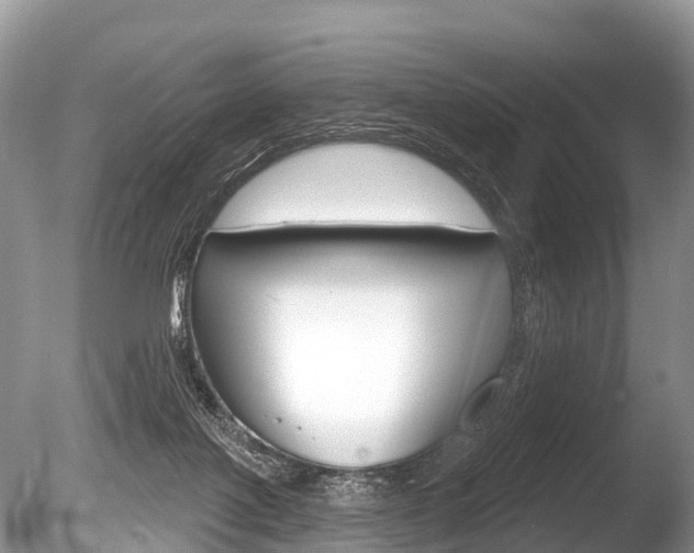 X0000086250075200703291047