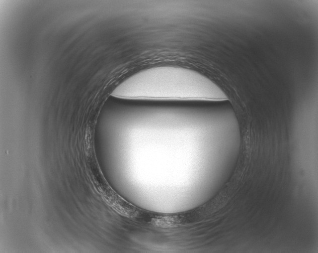 X0000086250079200703291047