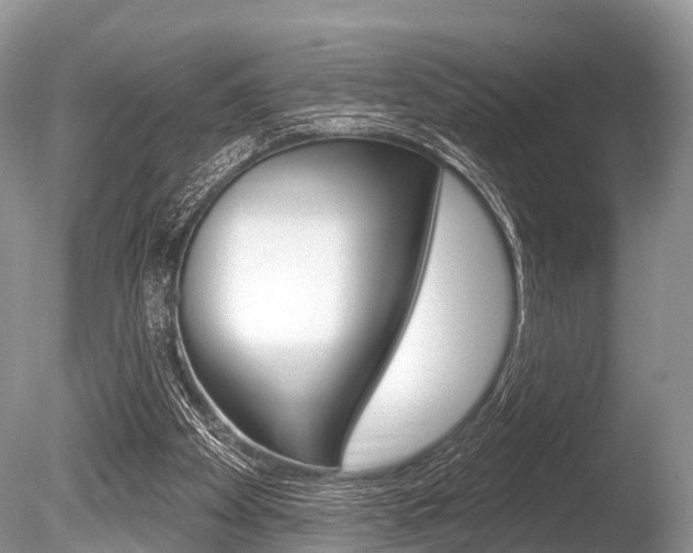 X0000086250105200703291046