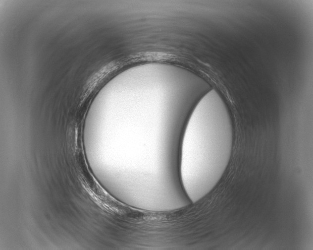 X0000086250110200703291046