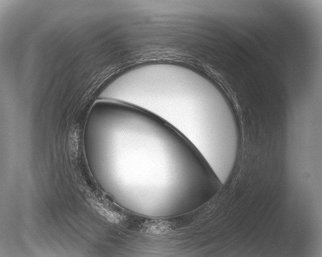X0000086250113200703291046