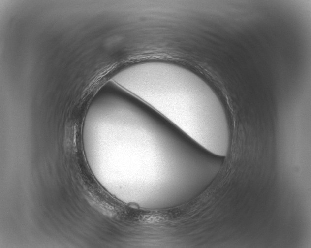 X0000086250115200703291046