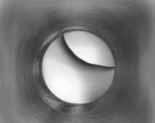 X0000086250116200703291046
