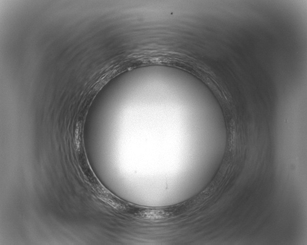 X0000086250121200703291046