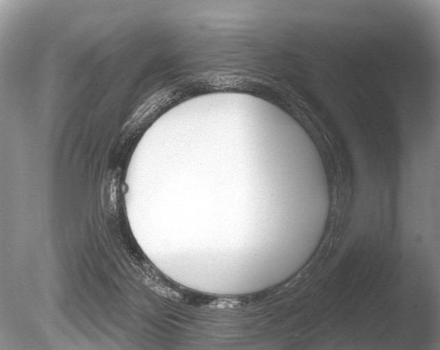 X0000086250124200703291046