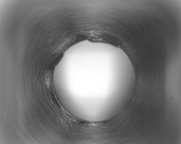 X0000086250129200703291046