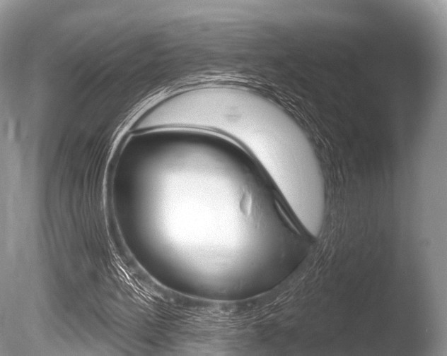 X0000086250148200703291045