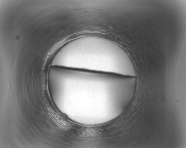 X0000086250149200703291045
