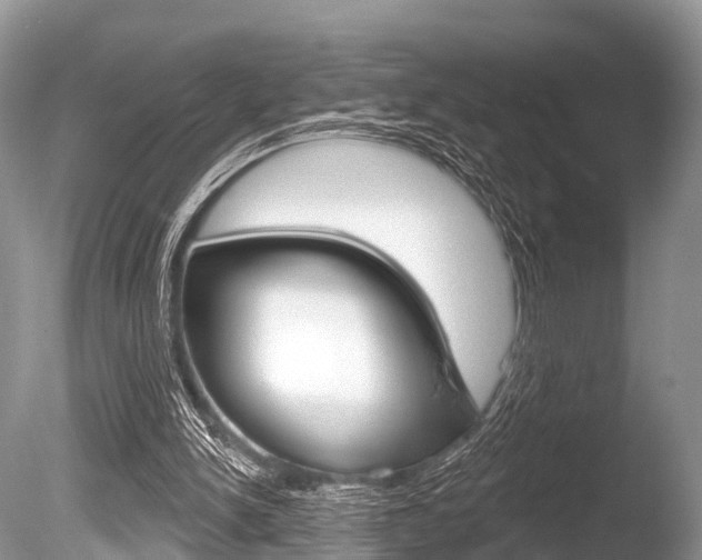 X0000086250150200703291045