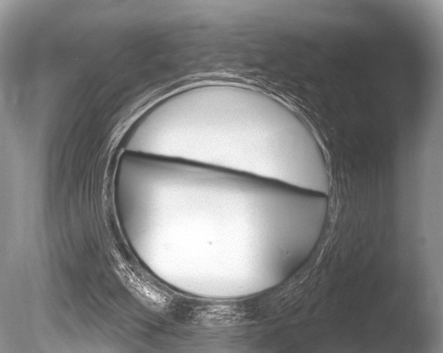 X0000086250151200703291045