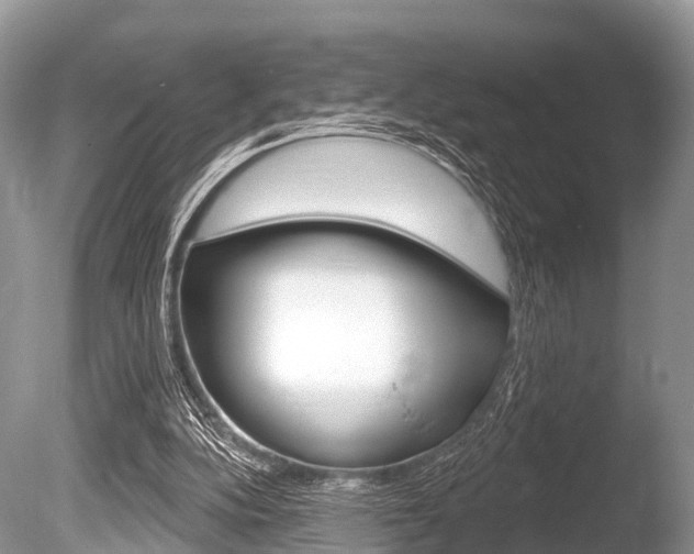 X0000086250152200703291045