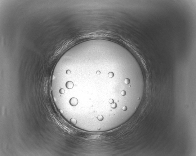 X0000086250153200703291045