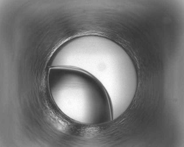 X0000086250156200703291045