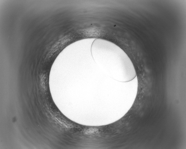 X0000086250162200703291045
