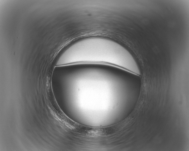 X0000086250164200703291045