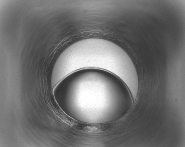 X0000086250170200703291045