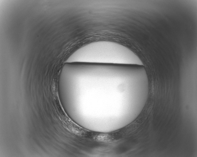 X0000086250173200703291045