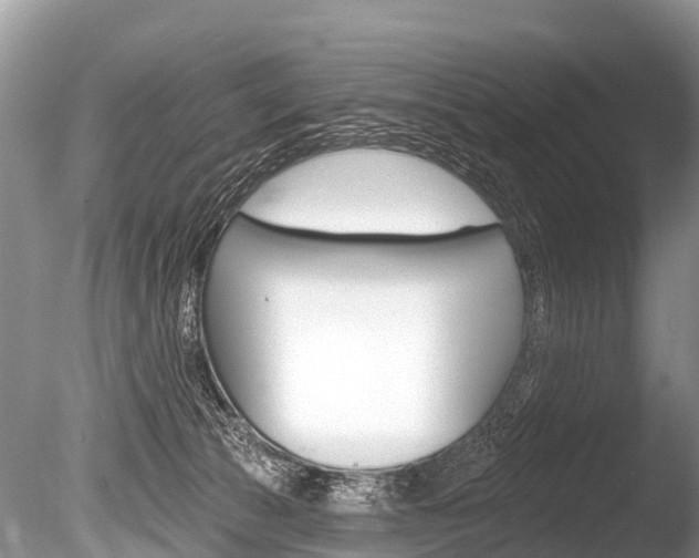 X0000086250177200703291045