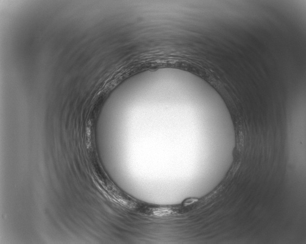 X0000086250183200703291045