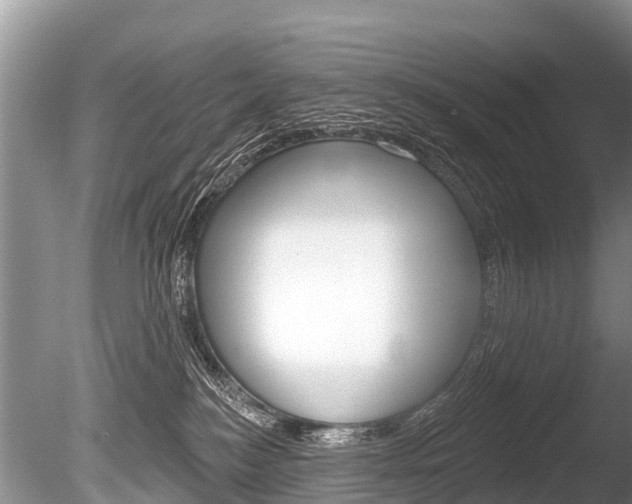 X0000086250184200703291045