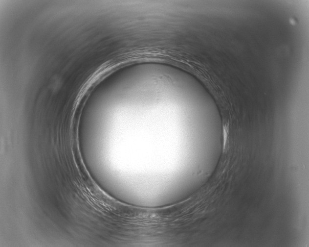 X0000086250195200703291044